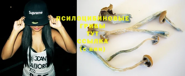 спиды Белокуриха