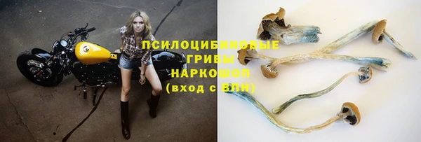 марки lsd Белоозёрский