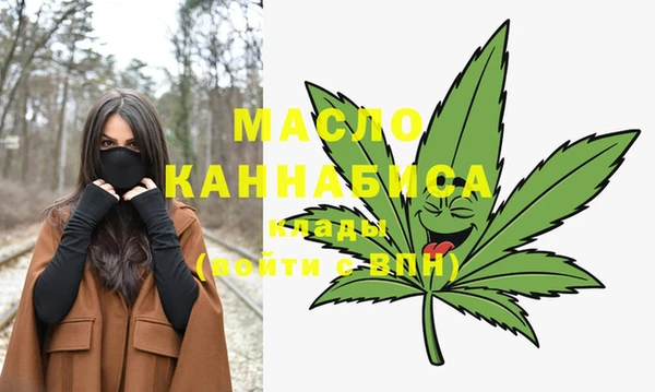 mix Богородицк